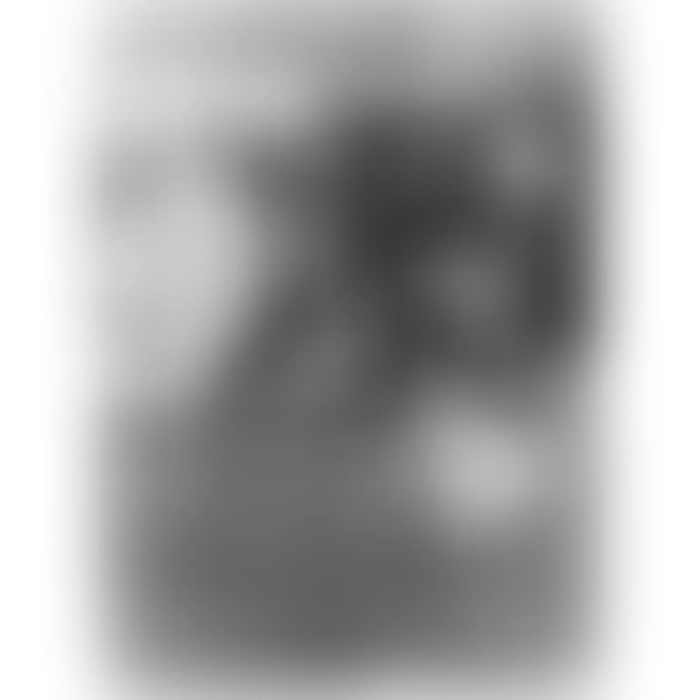 Abstract (preview)