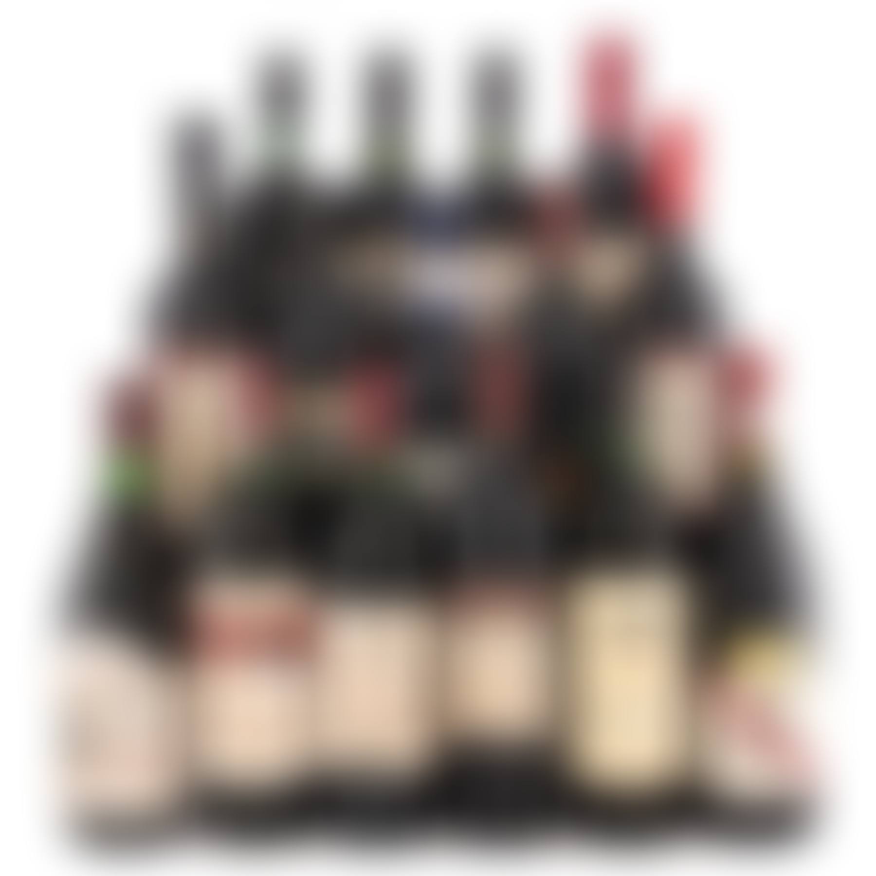Lot of Red Wines from Spain, Uruguay, Mexico, Australia, Portugal and Chile (preview)