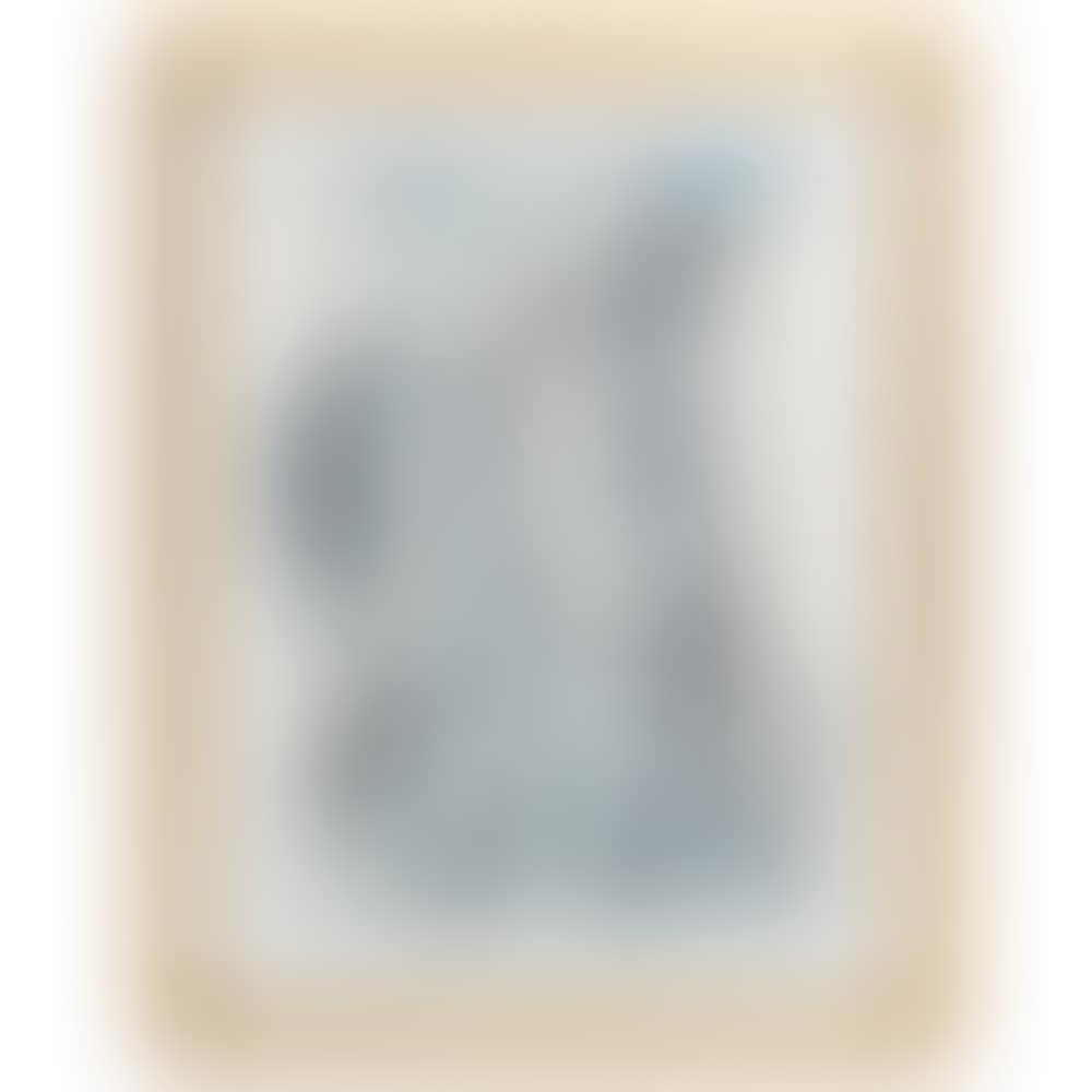 Art in the Harmony (preview)