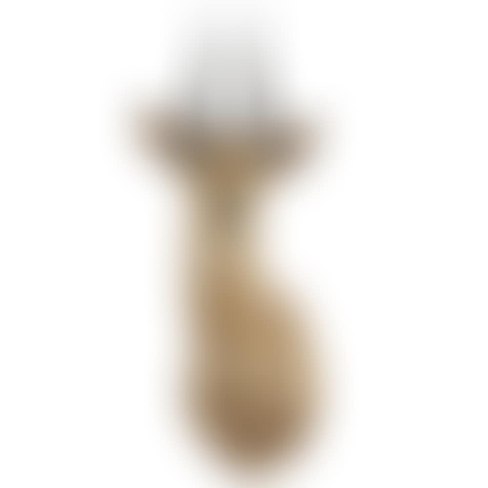Taxidermy (preview)