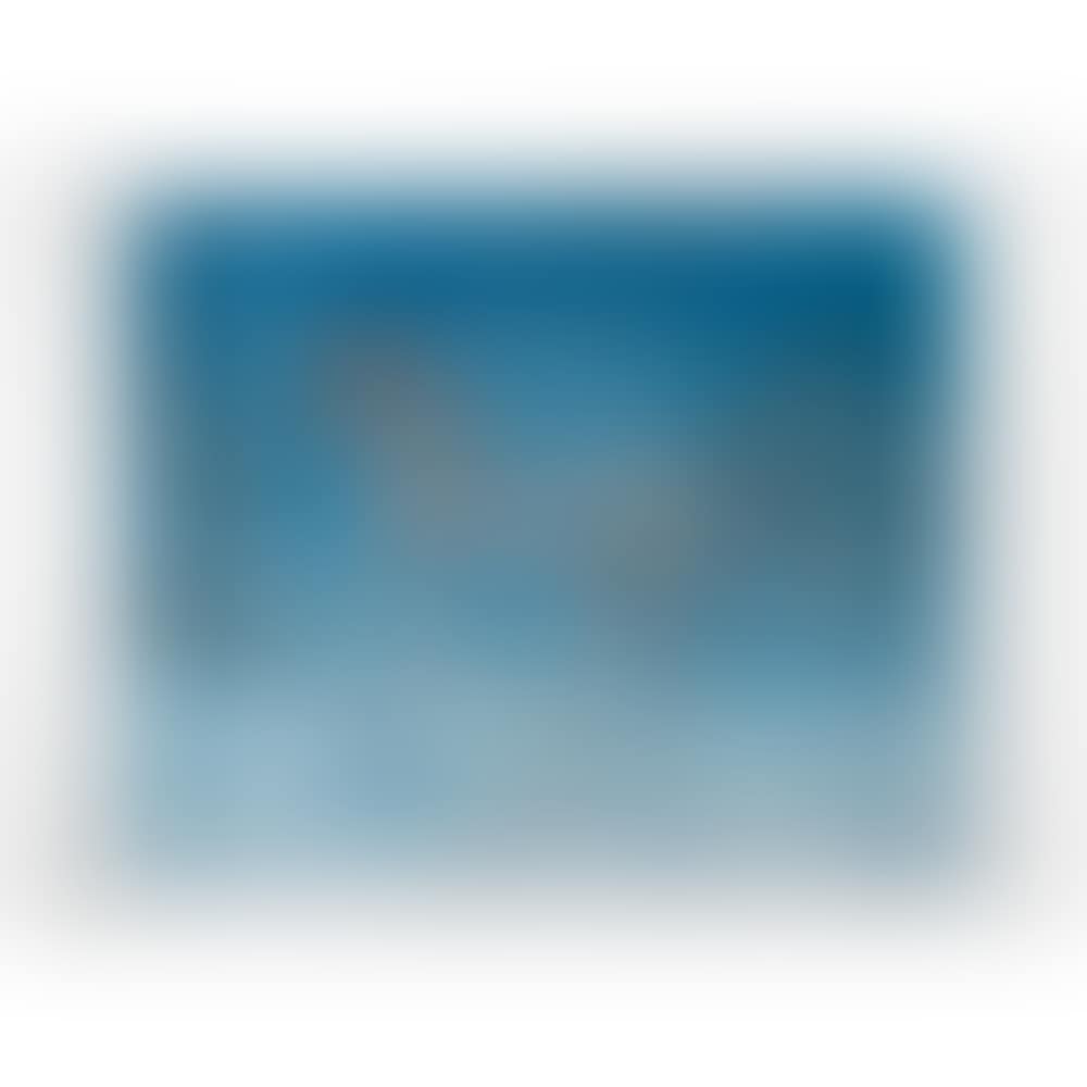 Chevall allègre (Happy unicorn) (preview)