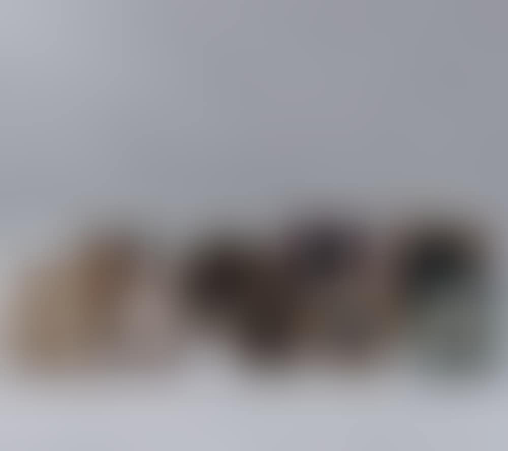 Lot of picture frames. (preview)