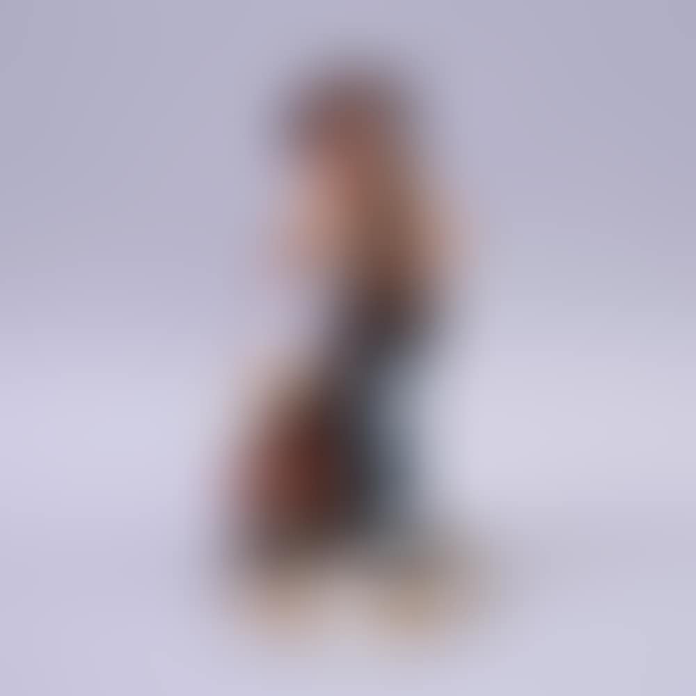 Casserole (preview)