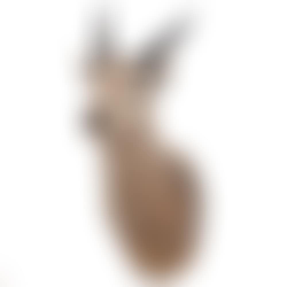 Antelope (preview)