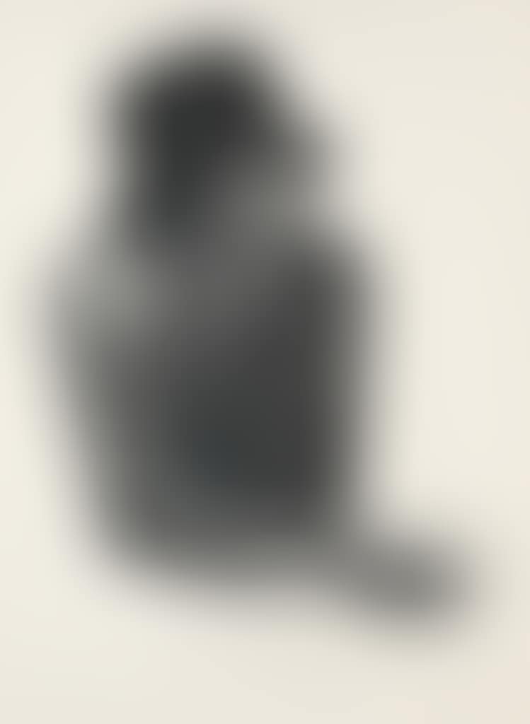 Cartas (preview)