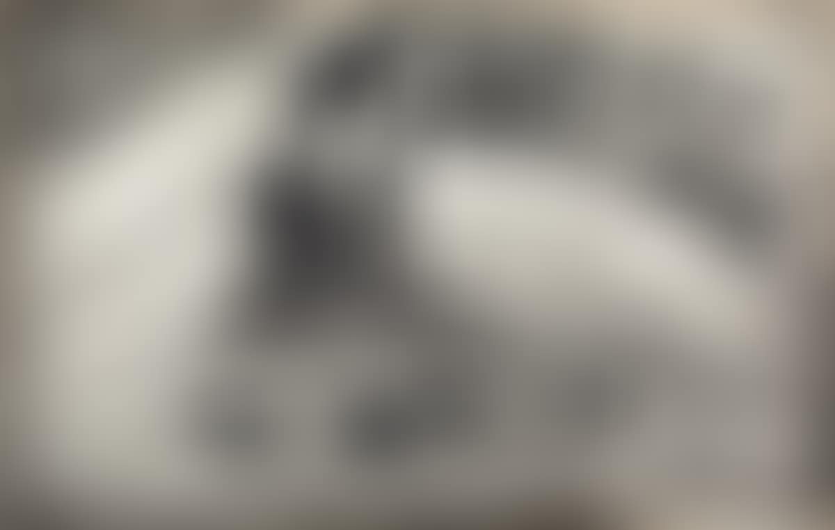 La Femme aux Figues (preview)