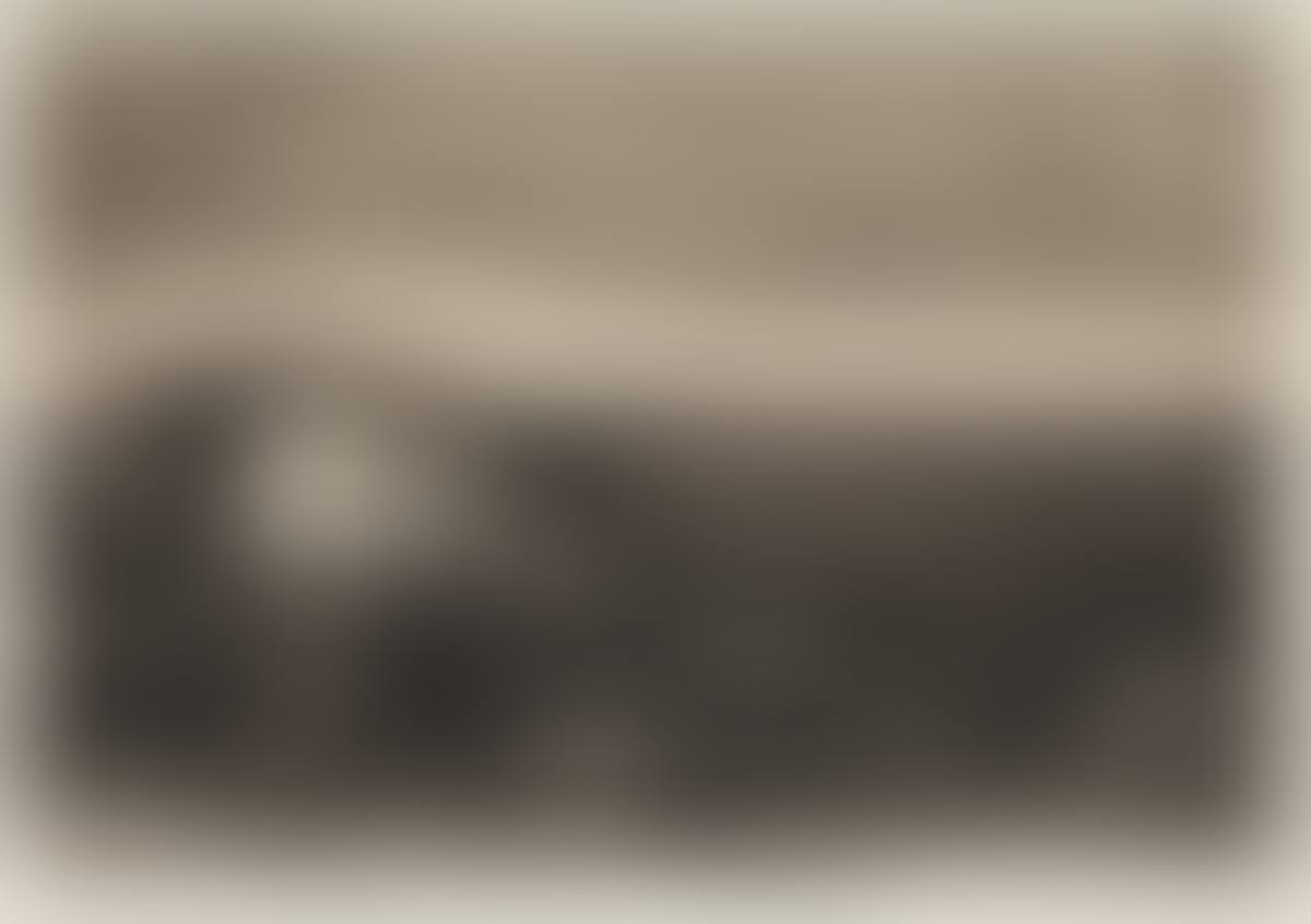 Die Pflüger (preview)