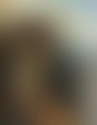 Dorfansicht (preview)