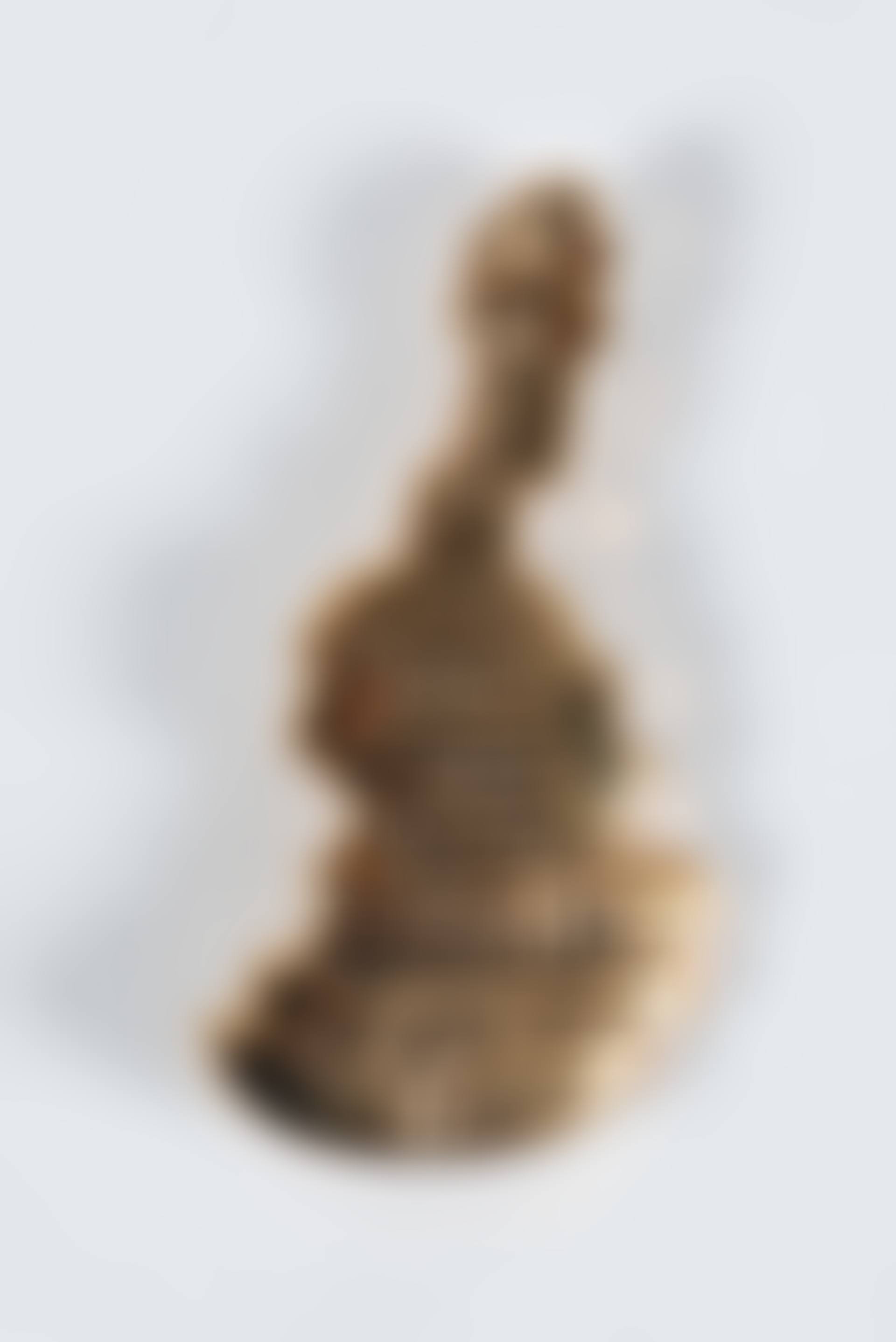 Broche (preview)