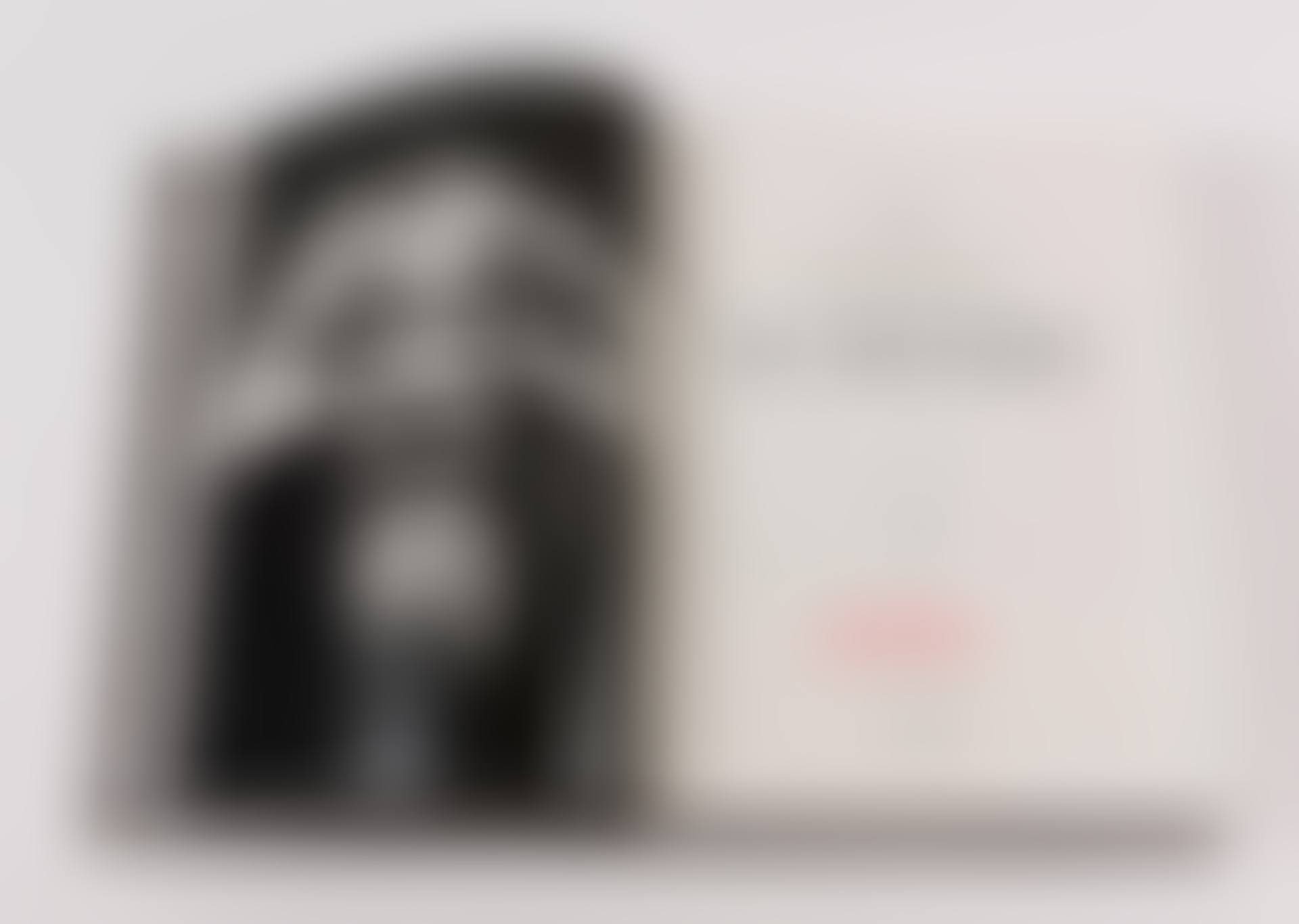 Ai Weiwei Collector"s Edition (preview)