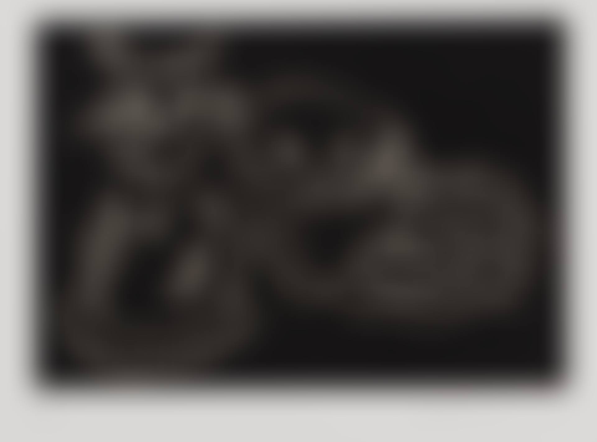 Cats Black (preview)