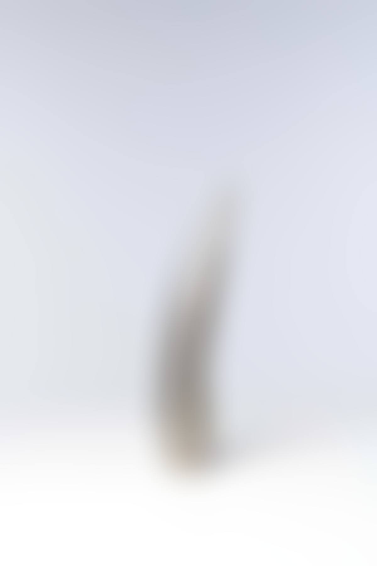 Official torch of the Olympic Winter Games Albertville (preview)