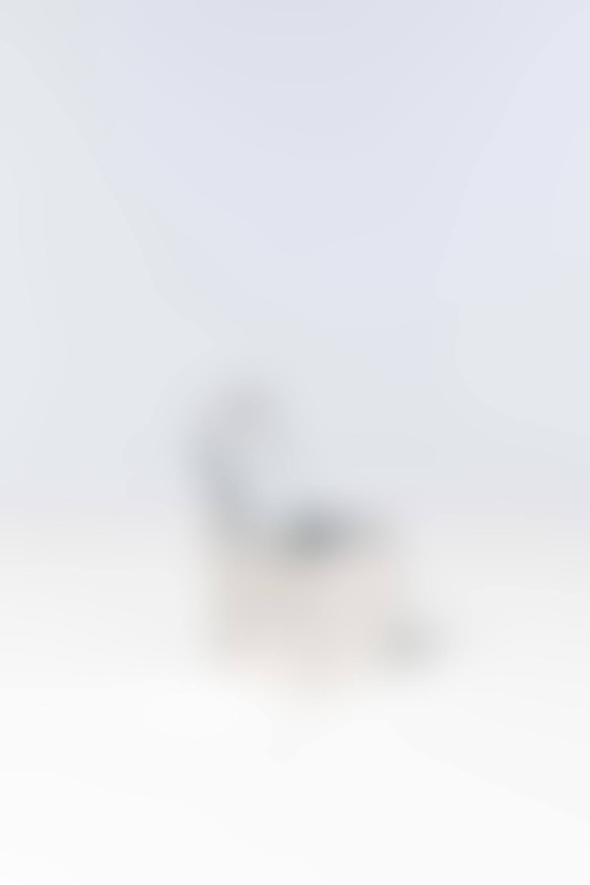 Ray Hollis; Ashtray (preview)