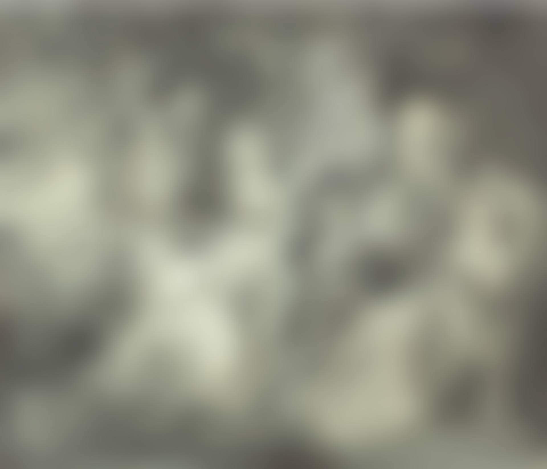A family group in a landscape (preview)