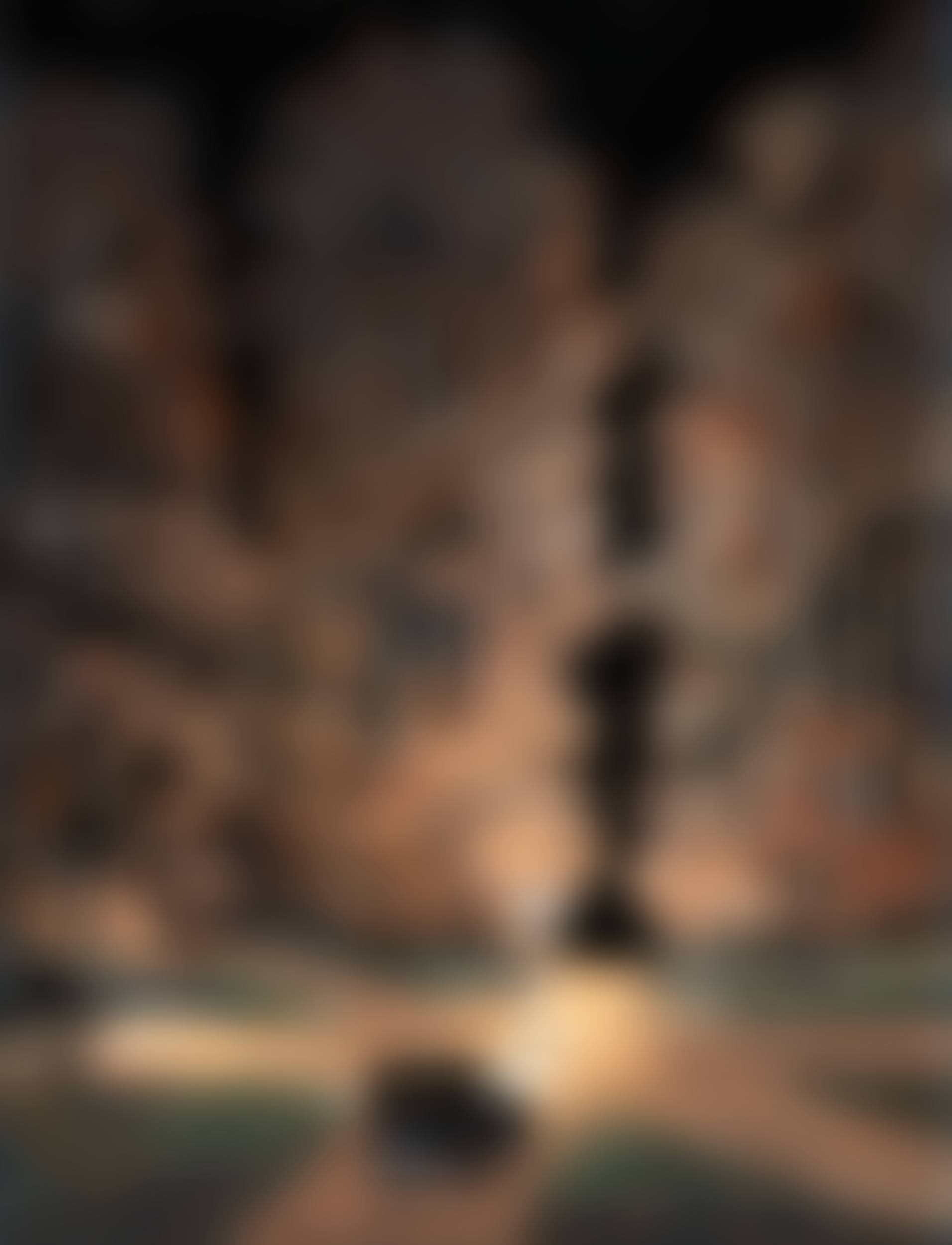 The Meeting in the Forest (preview)