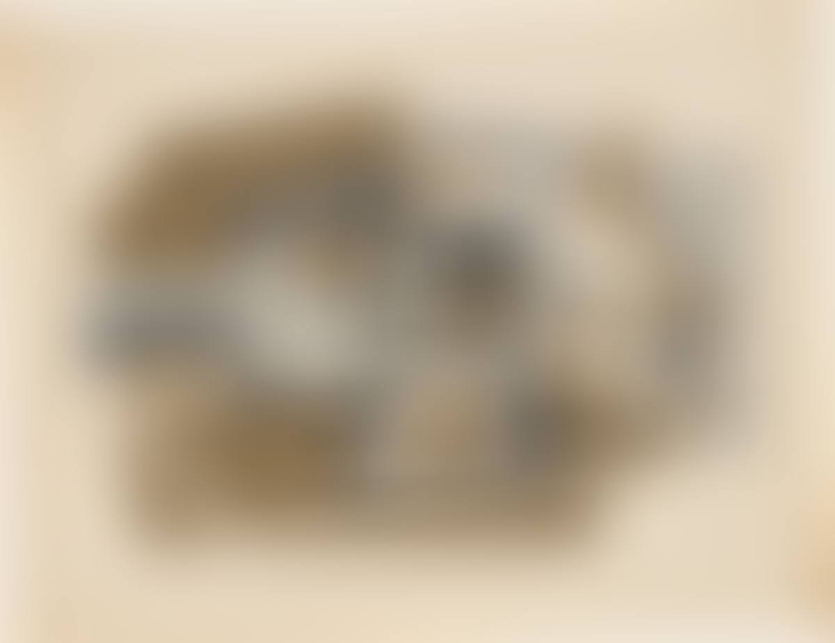 ”Nature morte” (preview)