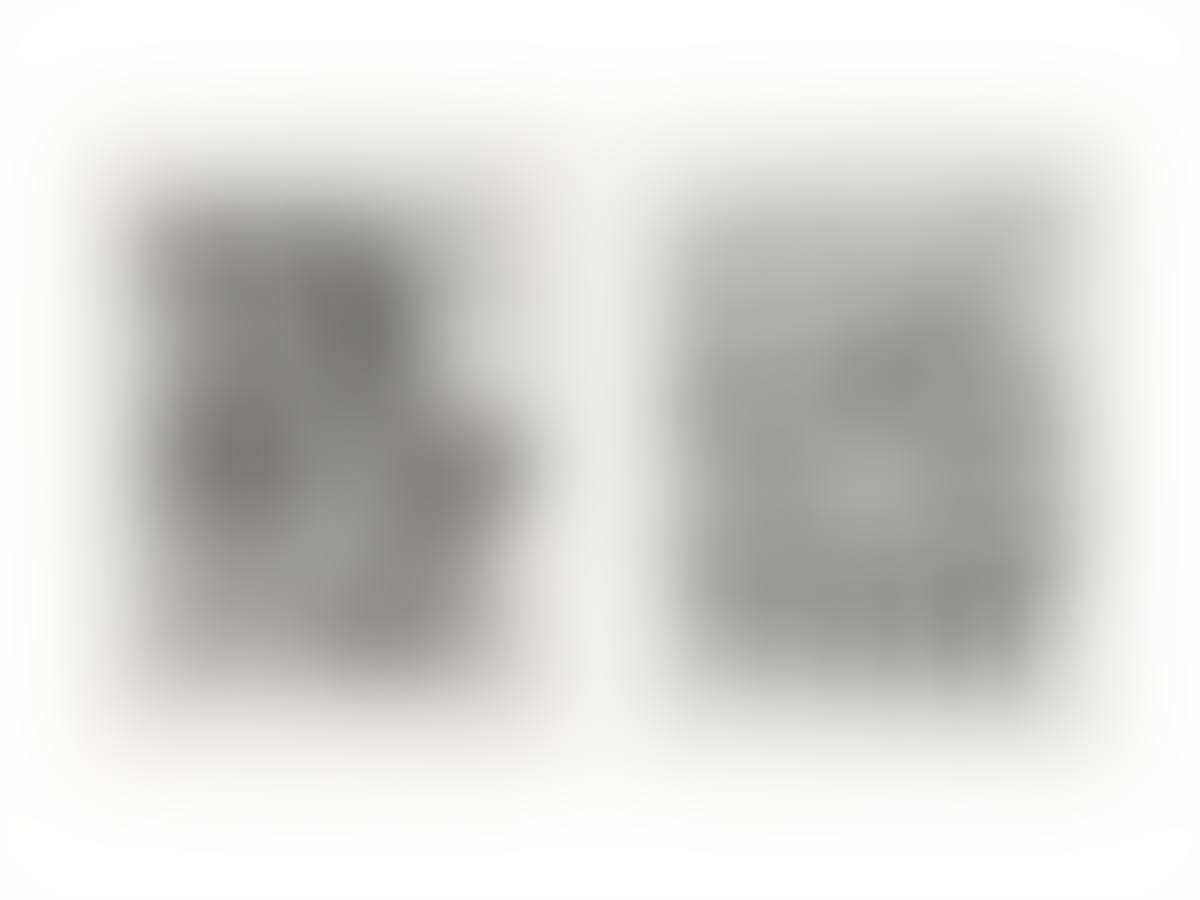 Mutter Meese (preview)