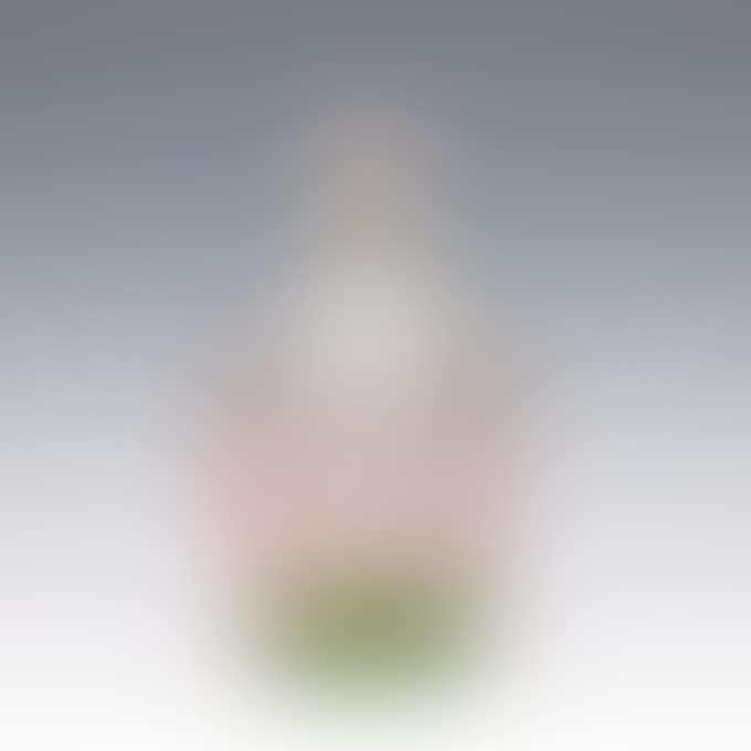 PERFUME BOTTLE WITH DRAGONFLY AND TULIP (preview)