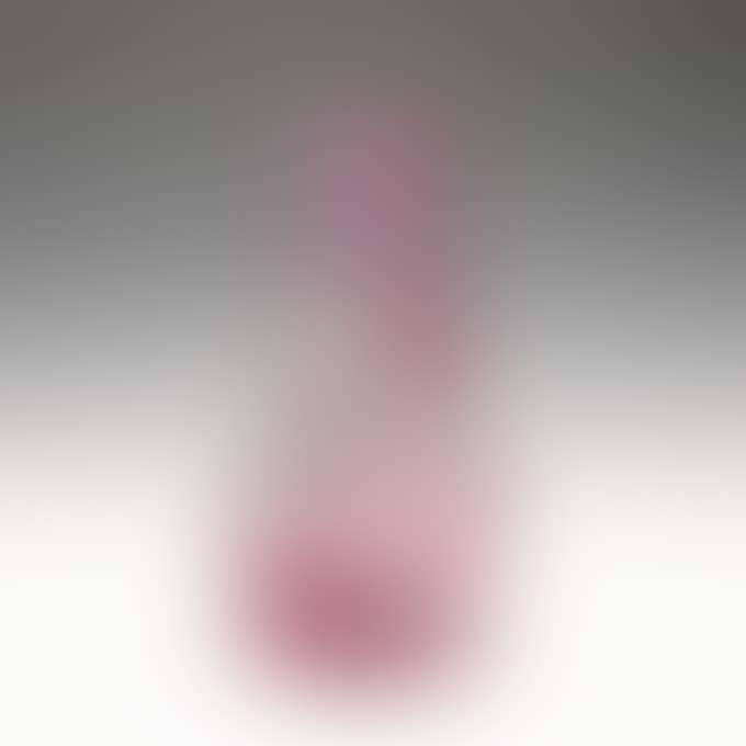 CATTLEYA VASE (preview)