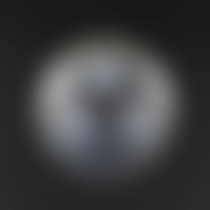 BOWL "VOLUBILIS" (preview)