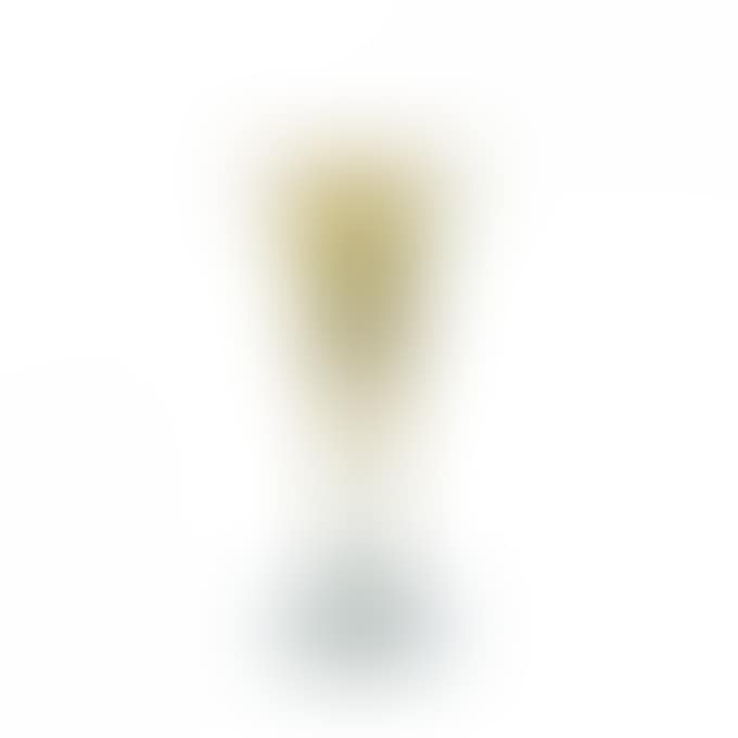 GOBLET GLASS (preview)