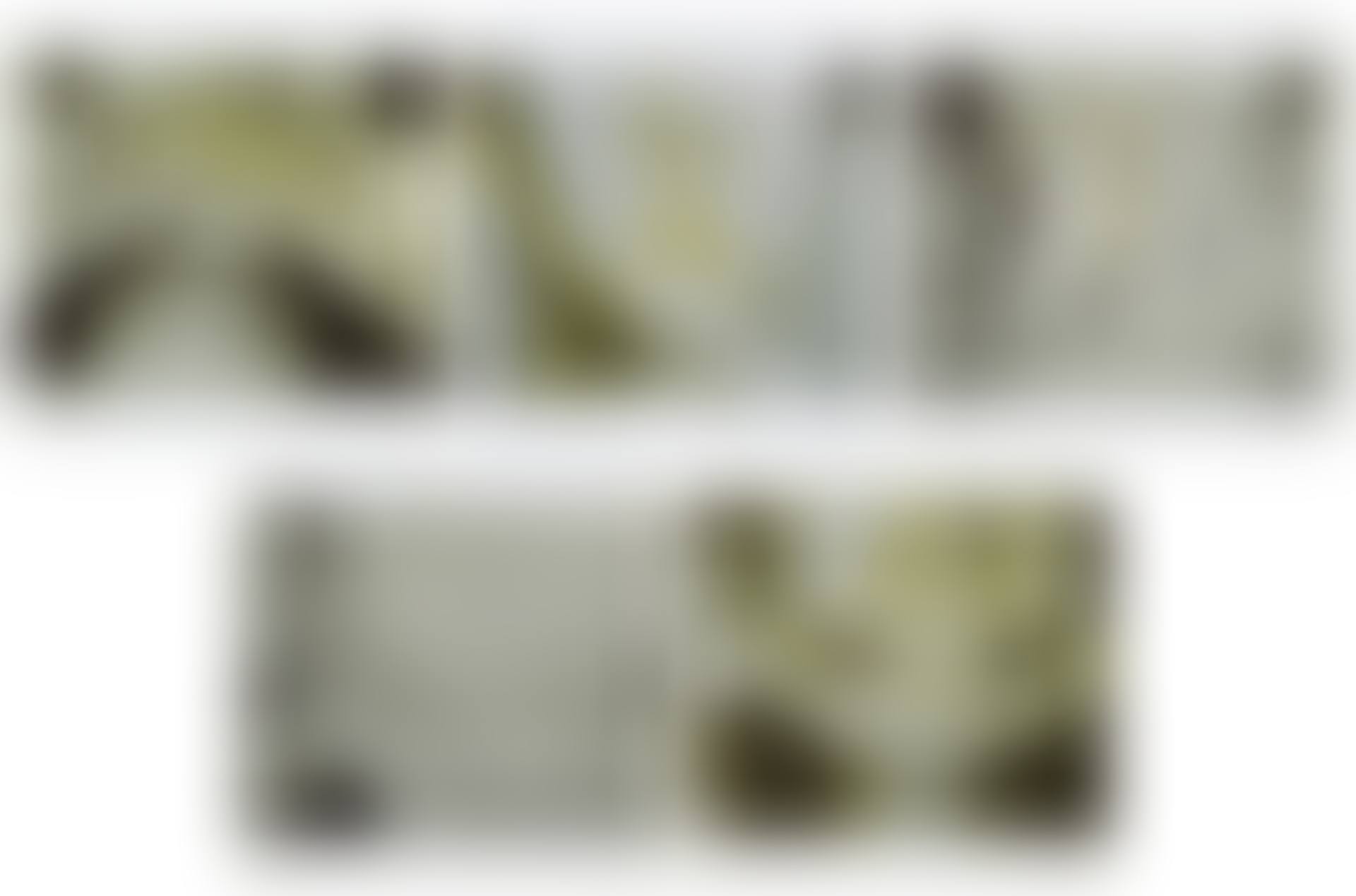 Studies for Holograms (preview)