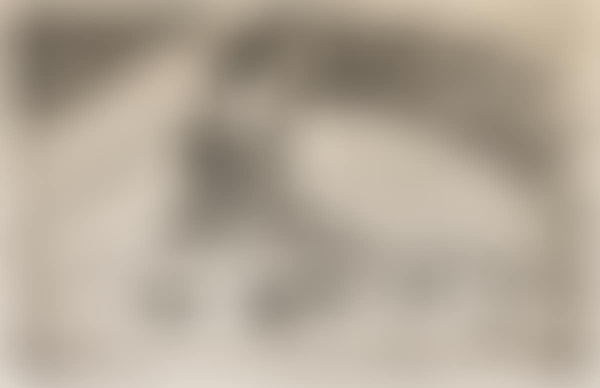La Femme aux Figues. (preview)