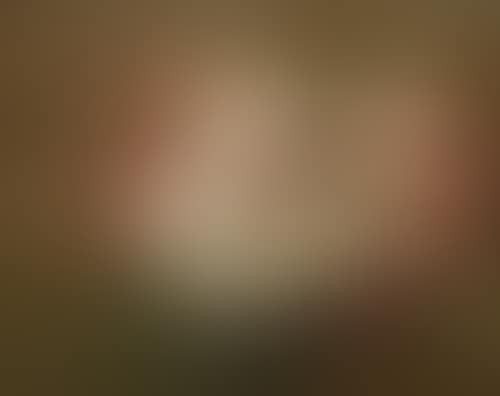 Œillets (preview)