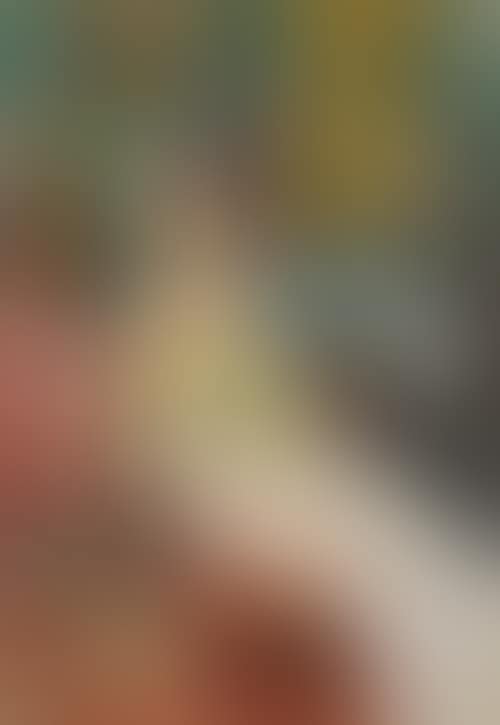 Plénipotentiaire (preview)