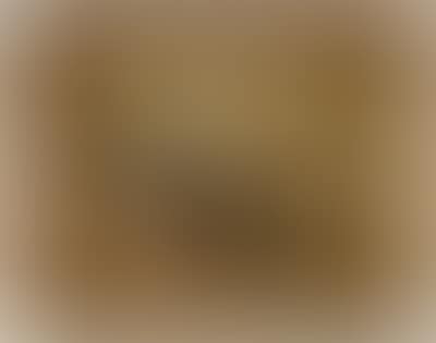 Blick auf Meran (preview)