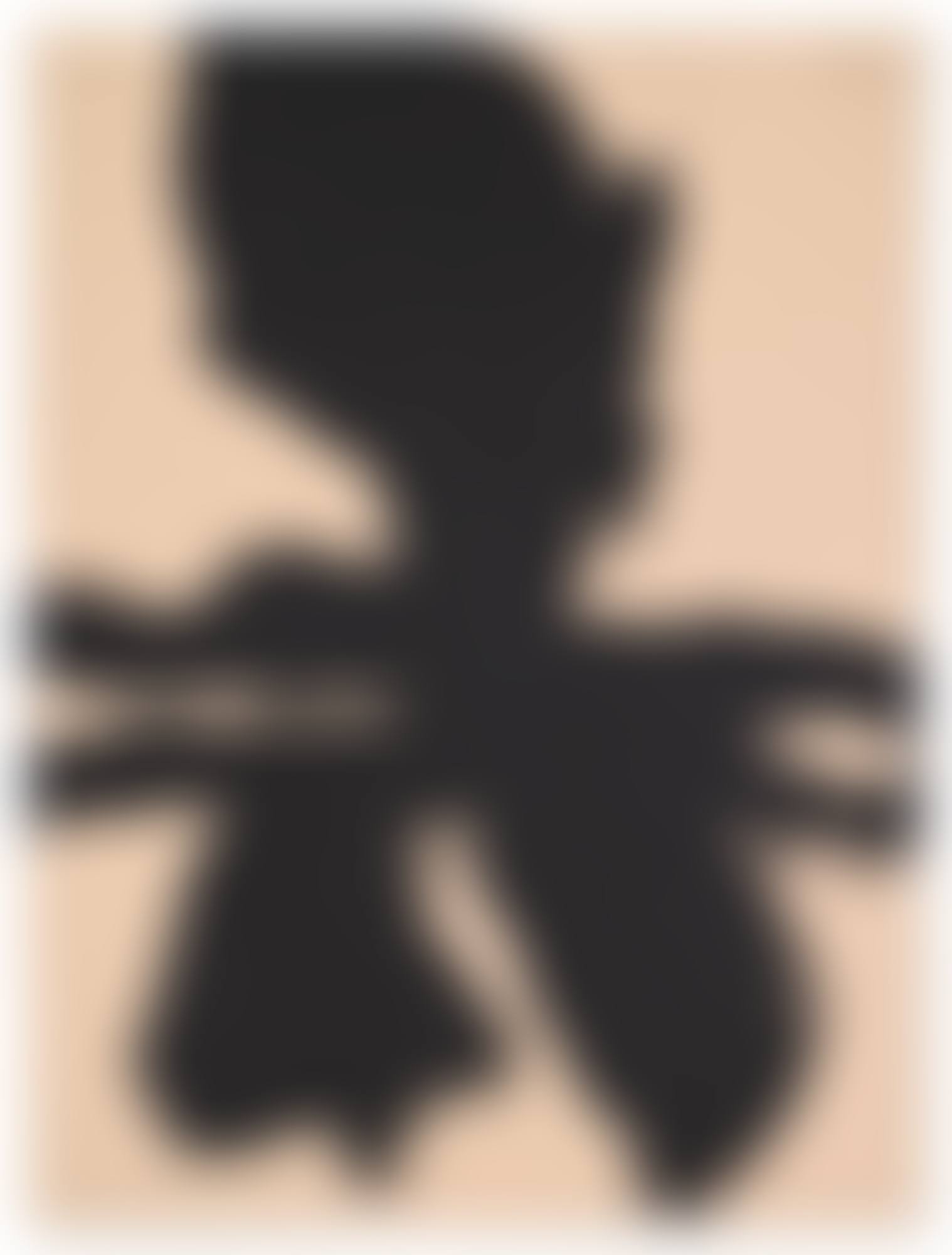 Samurai No. 13 (preview)