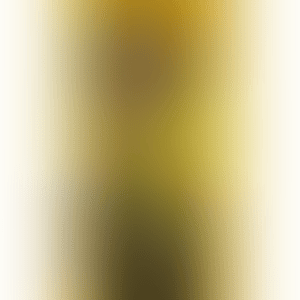 Cabeza, from Portfolio II (preview)