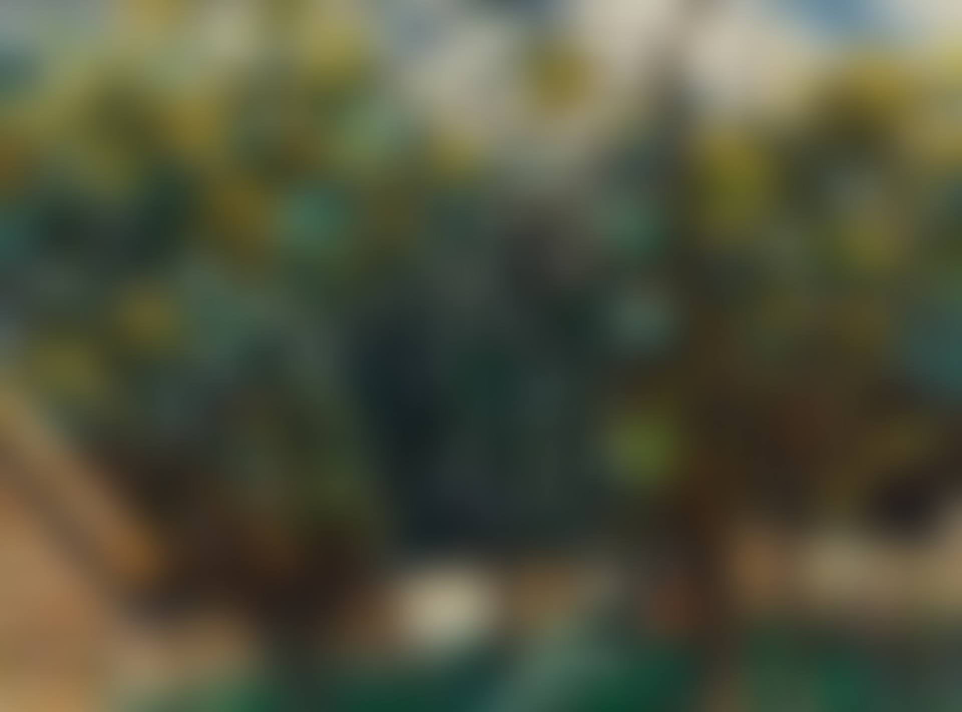 The Garden (preview)