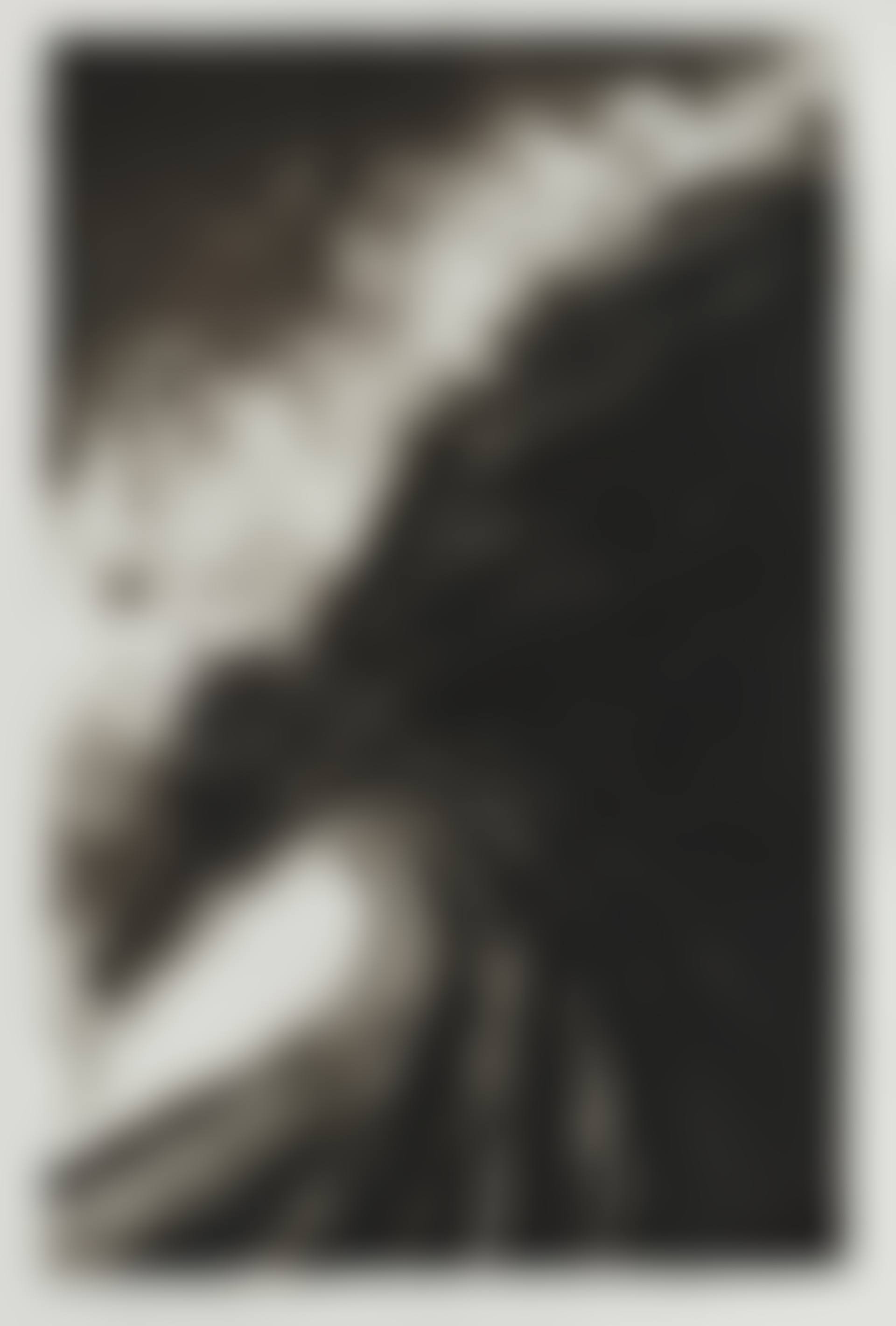Untitled (Study for Vert) (preview)