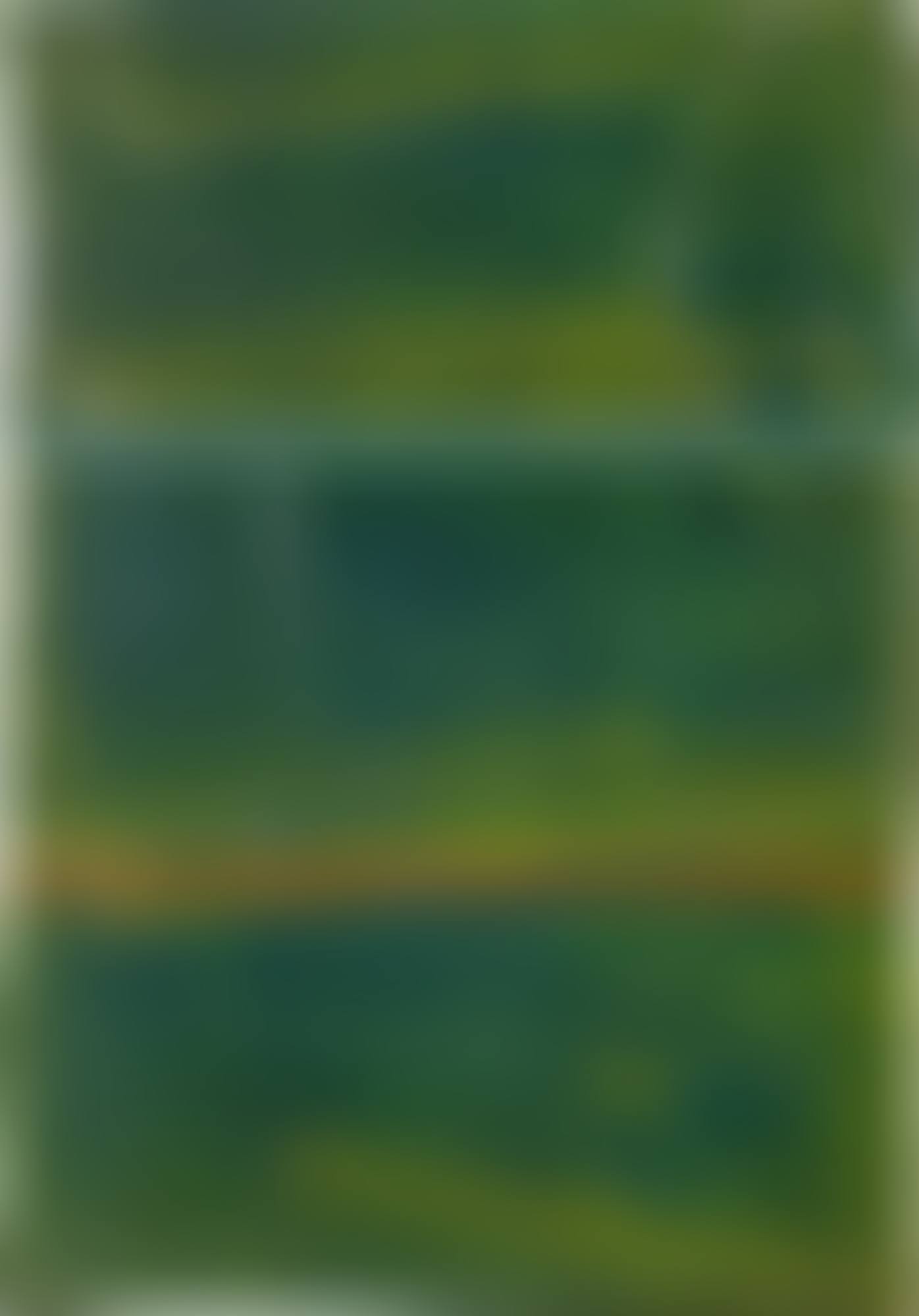 Doors Green Room (preview)