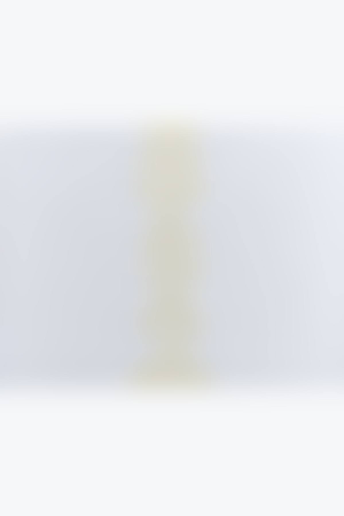 Plan for transparent yellow word list (preview)
