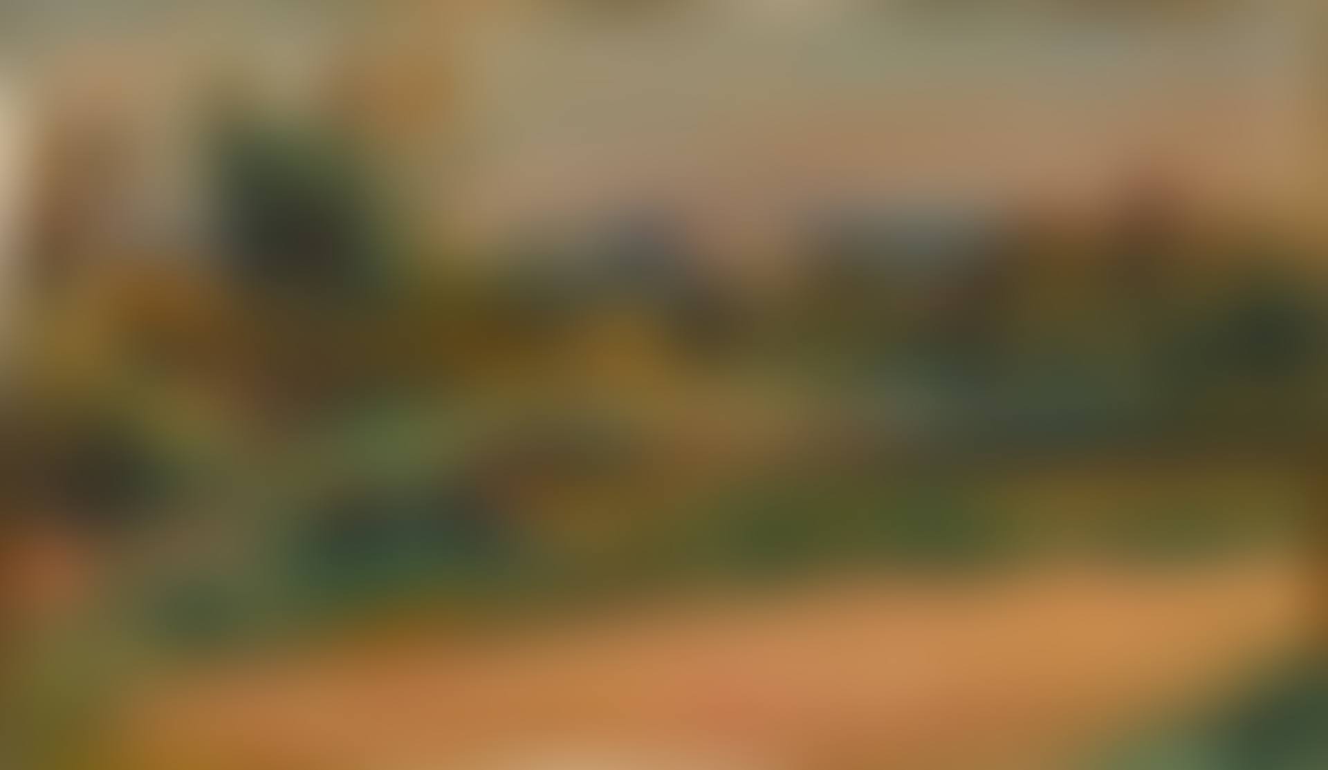 Paysage du Midi (preview)