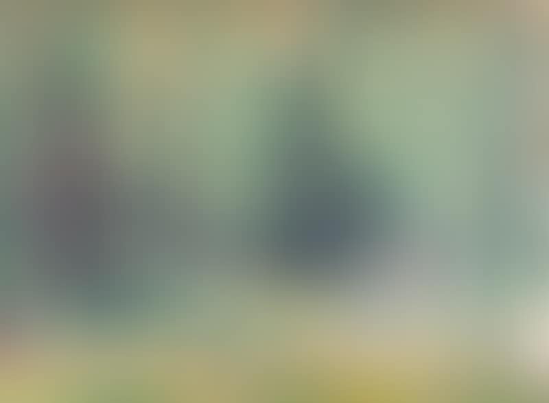 Landscape (preview)