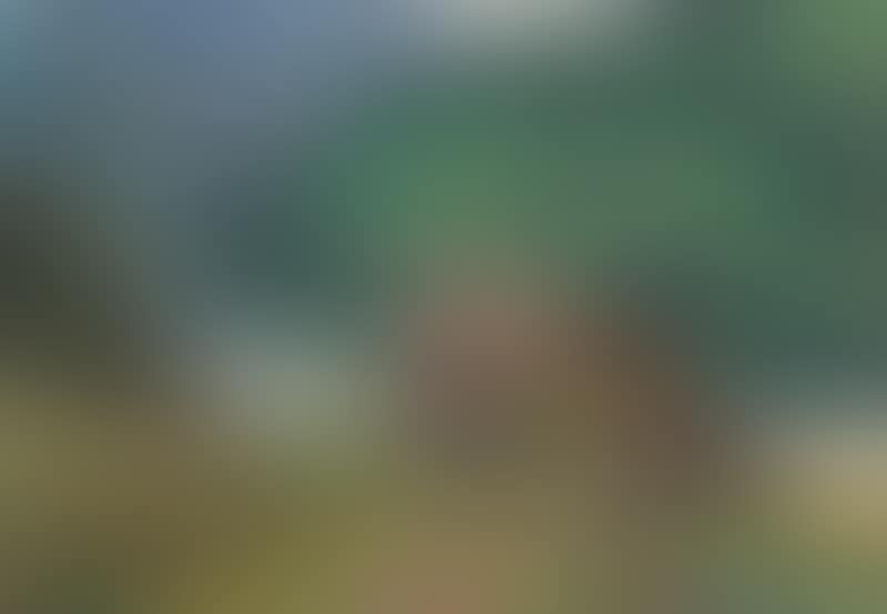 Landscape from Norway (preview)