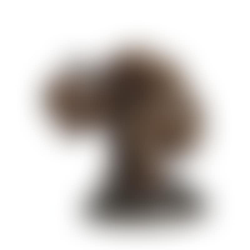 Small boy (preview)
