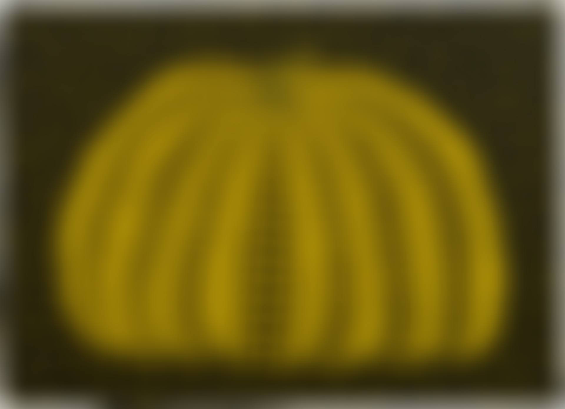 Pumpkin (preview)