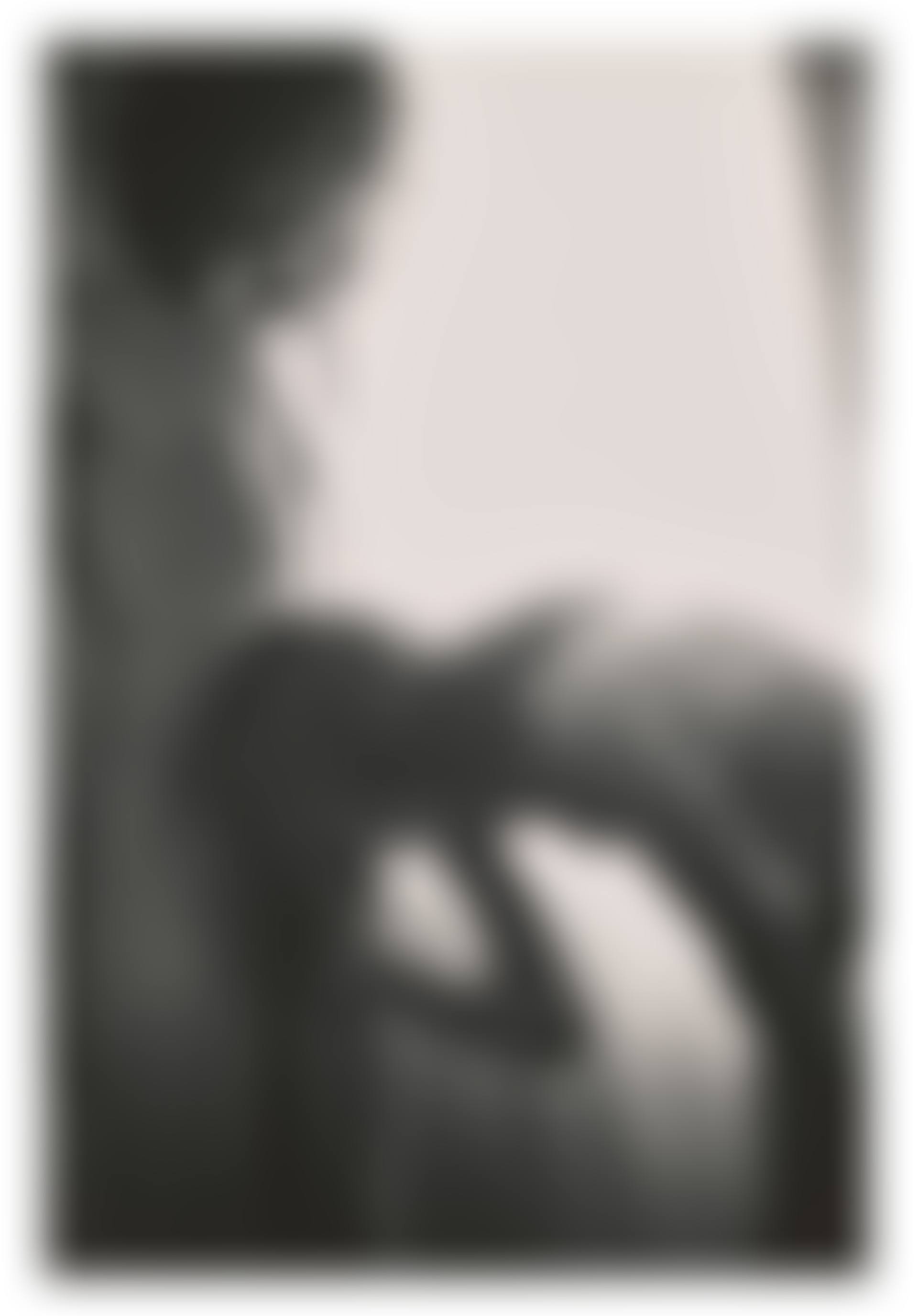 Untitled (Fellation) (preview)