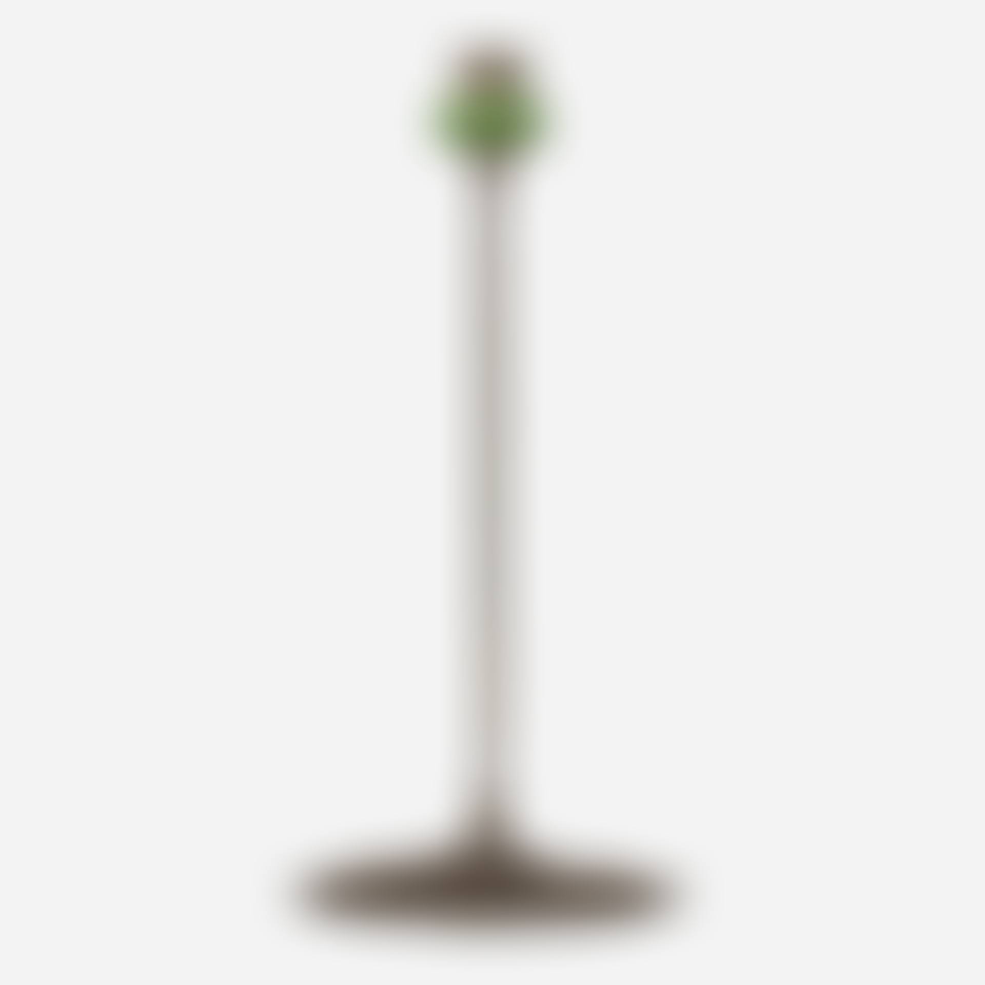 Wild Carrot candlestick (preview)