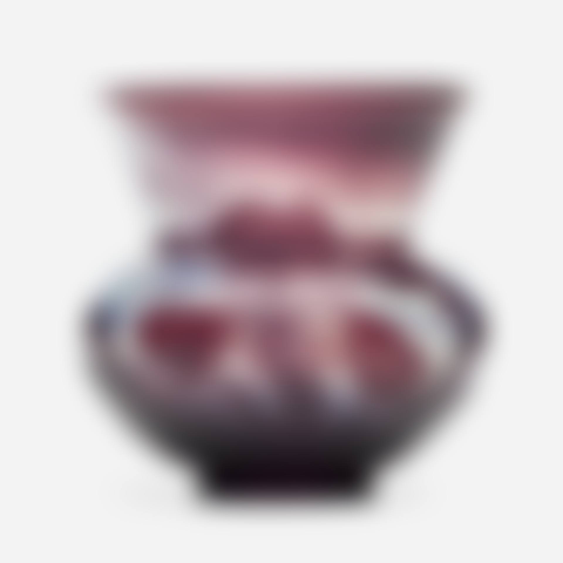verrerie parlante vase with iris (preview)