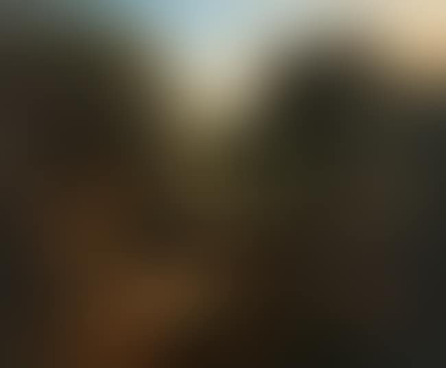 Wooded Defile with Figures and Distant Cattle (preview)