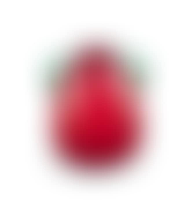 VASE (preview)