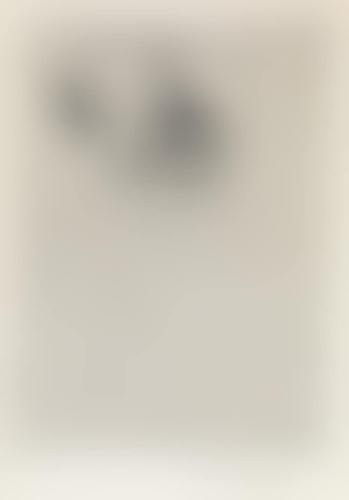 The Picture Book (preview)