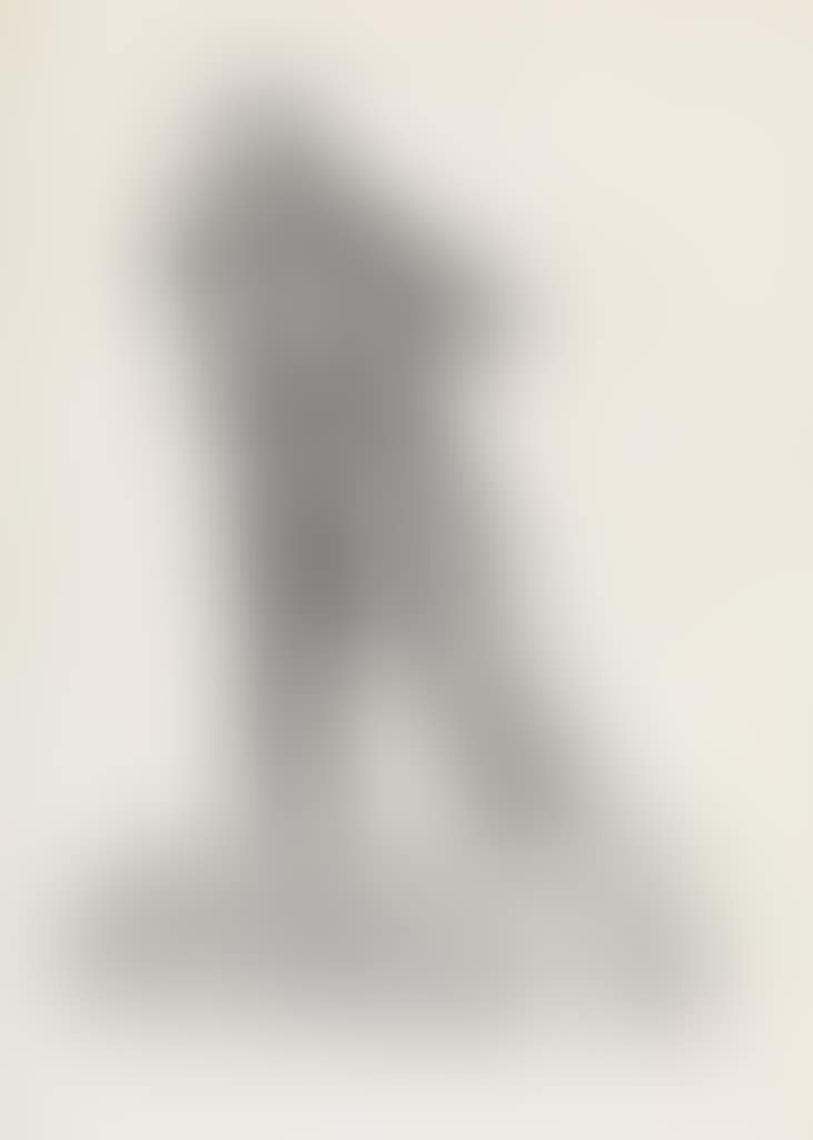 Der Agitationsredner (preview)