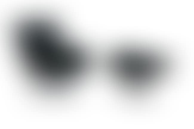 A Lounge Chair and Ottoman (670 & 671) (preview)