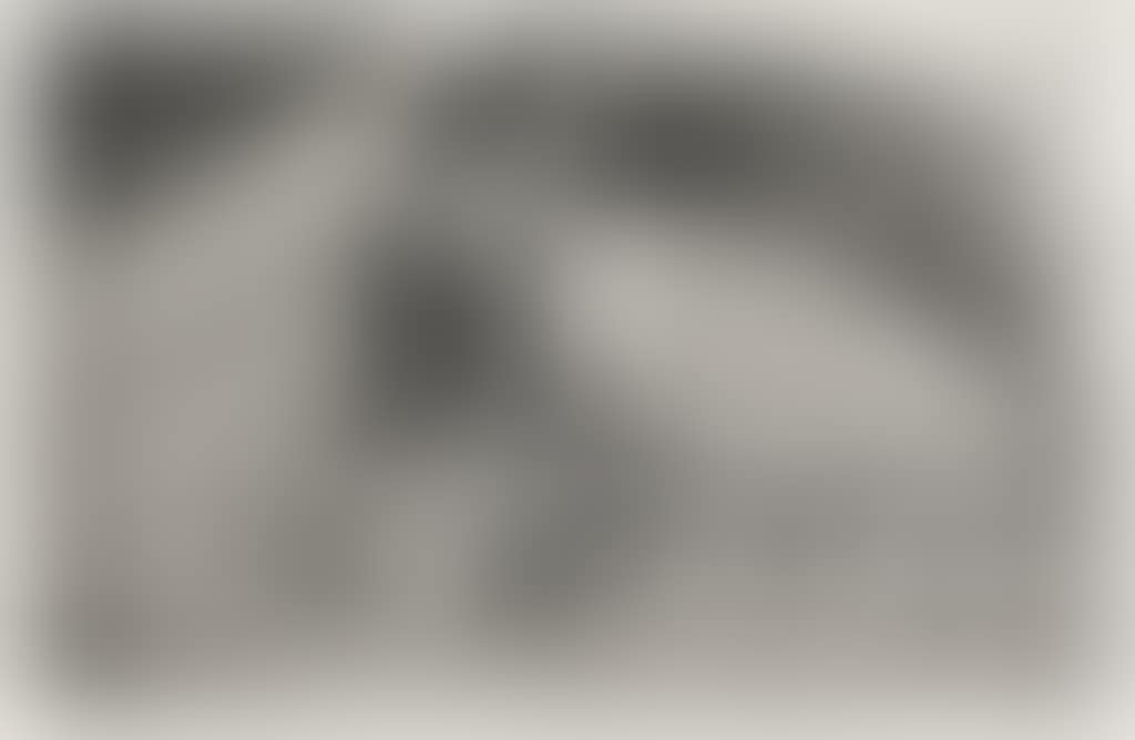 La Femme aux Figues (preview)